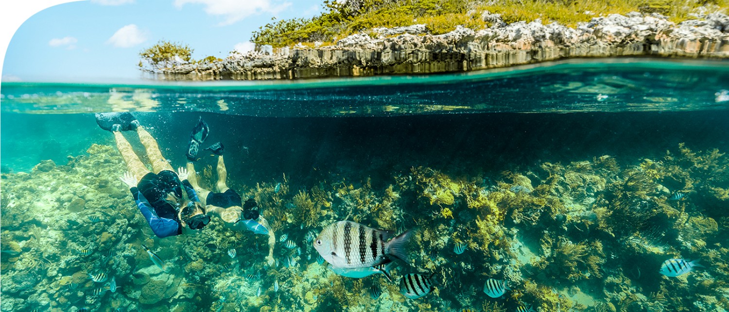 a group of people swimming in the water