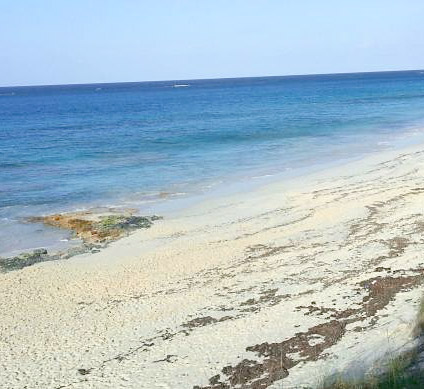 abacos great guana cay beach