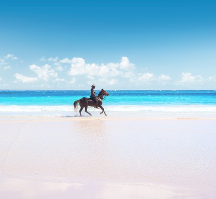 a person riding a horse on a beach