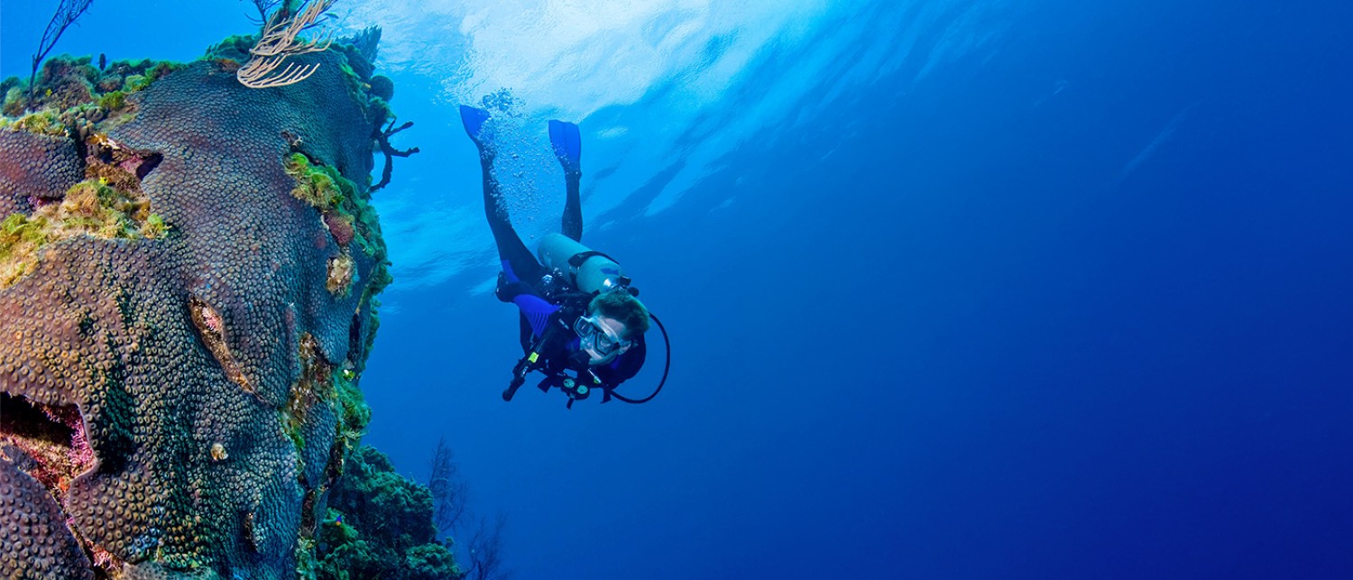 a person in scuba gear underwater next to coral