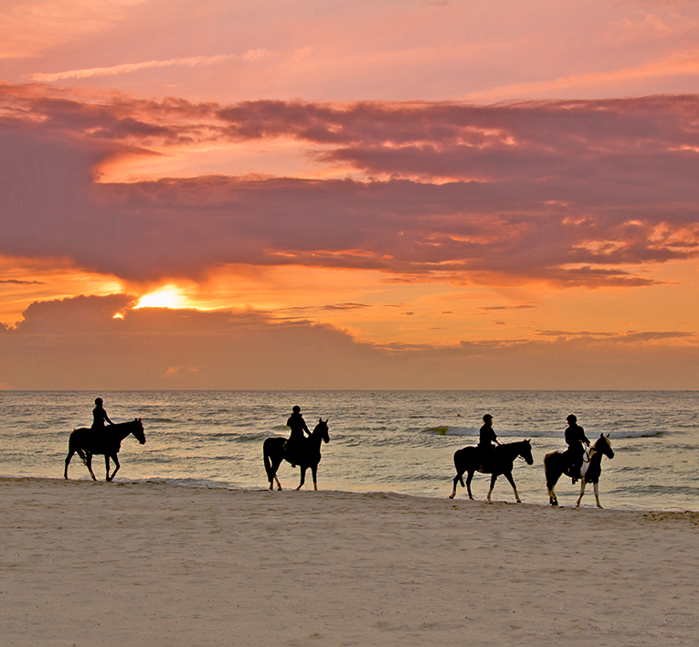 bmot eleuthera things to do take sunset ride