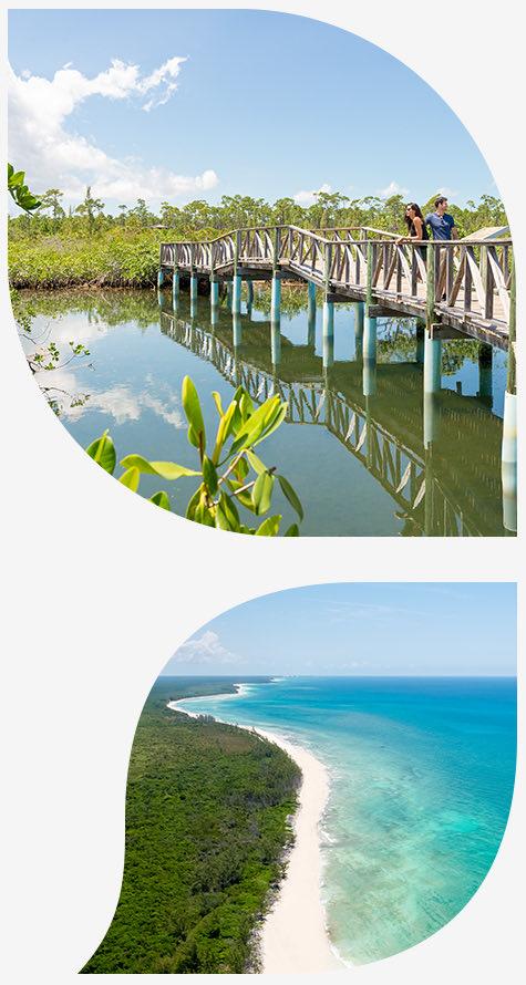 Top image couple on board walk over water bottom image beach with trees