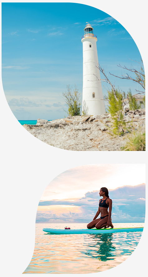 two petals, one with a lighthouse and one with a woman on a surfboard