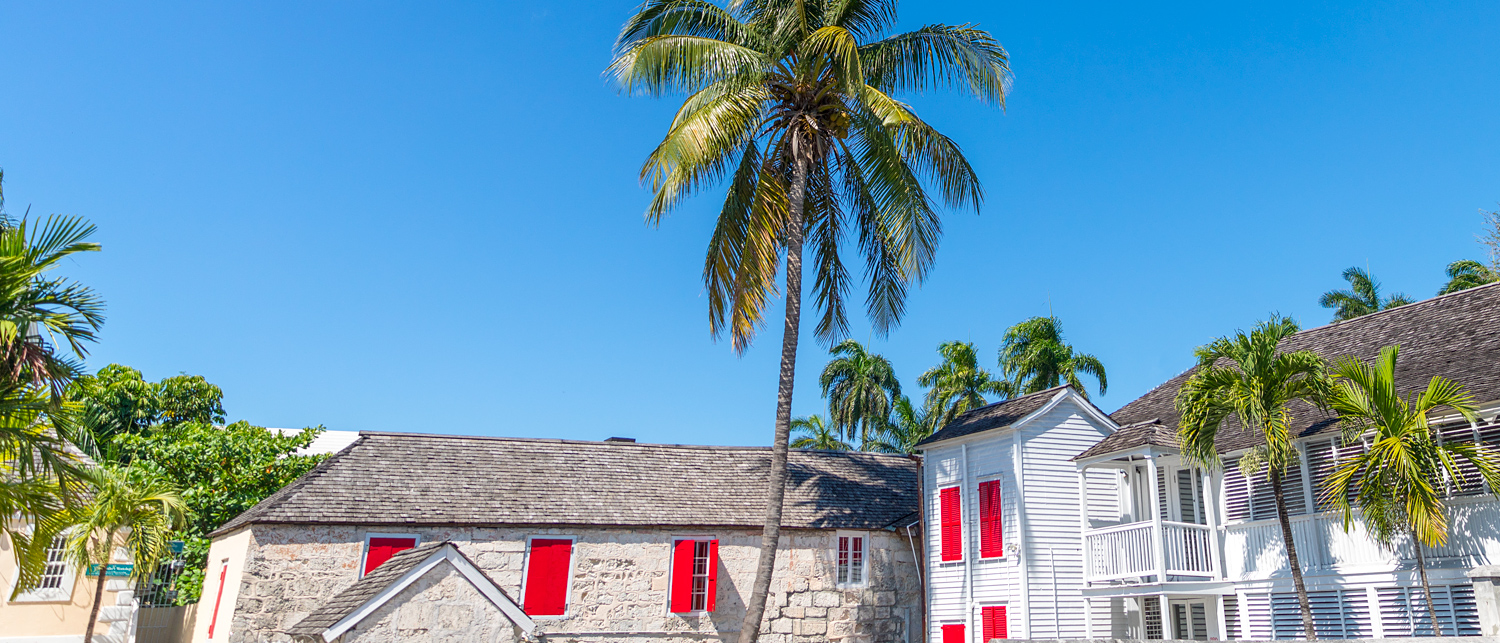 buildings with palm tree