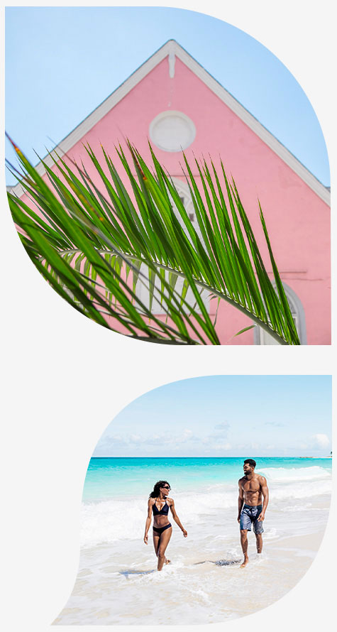 two petals, one with an image of a pink house and one with an image of a couple on the beach