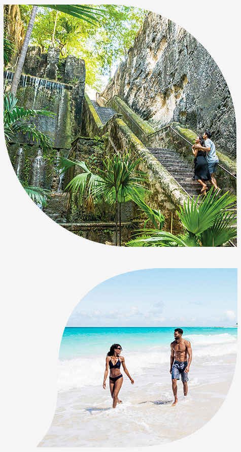 two petals, one of a couple on a staircase and one of a couple on the beach