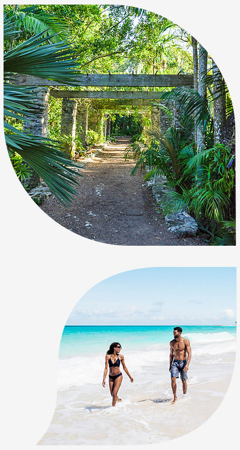 two petals, one of a greenery walkway and one of a couple on the beach