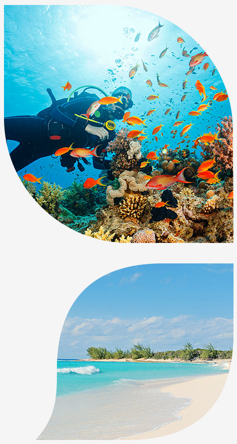 snorkeler near colorful coral reefs in the top image and view of the beach in bottom image