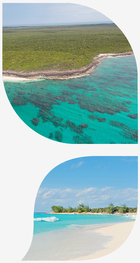 view of clear blue water reaching land in top image and view of beach in bottom image