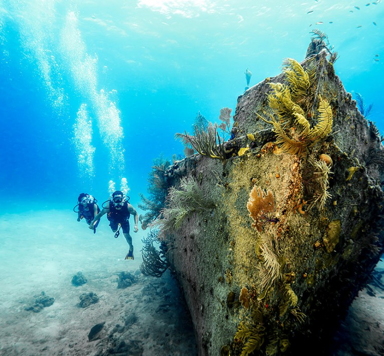 a couple holding handles while scuba diving near a sunken ship