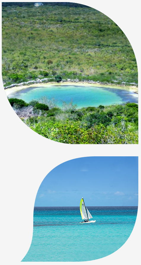 bmot san salvador mainsite island insider petals images watlings blue hole