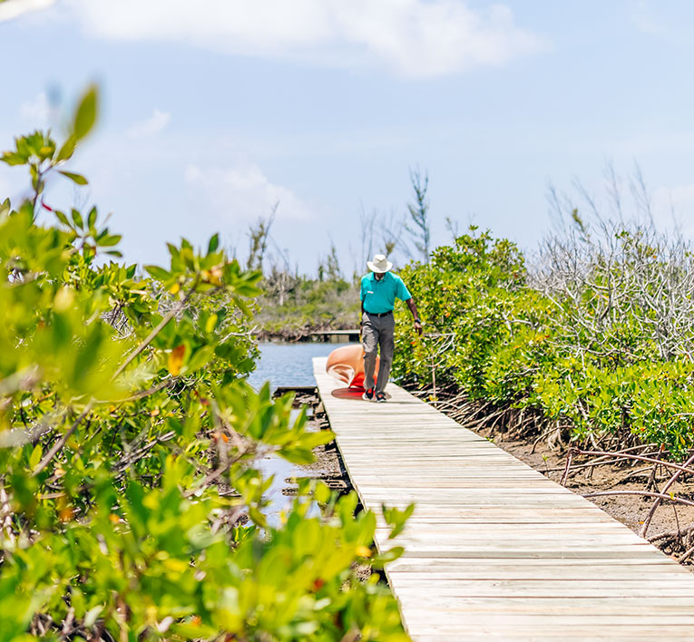 a person walking on a wooden bridge