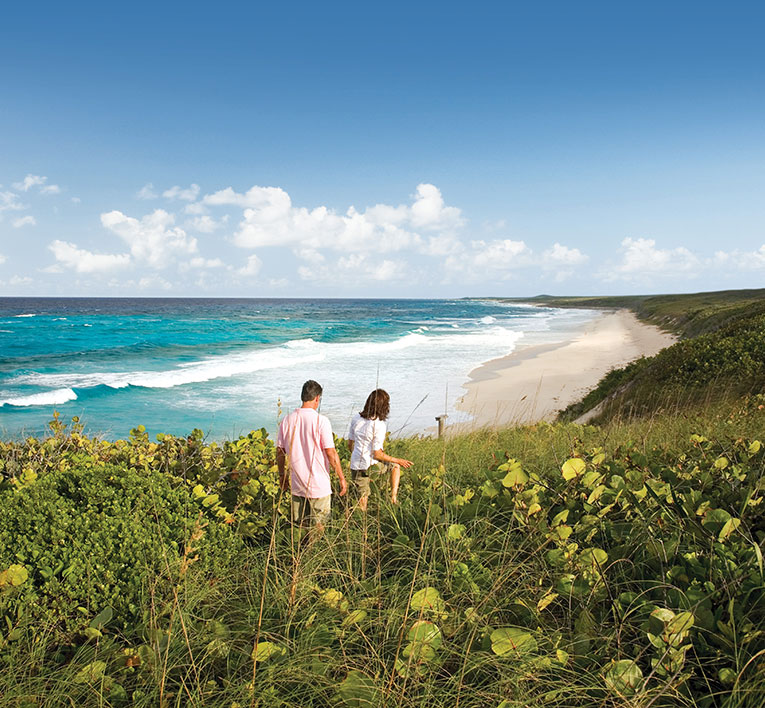 a man and a woman standing on a hill overlooking a beach