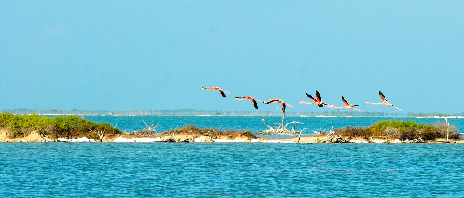 ecotourism bird watching