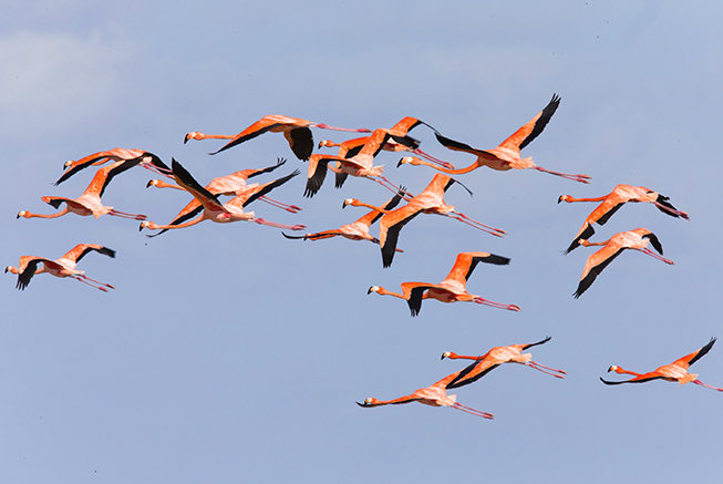 ecotourism inagua national park