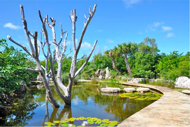 ecotourism leon levy native plant