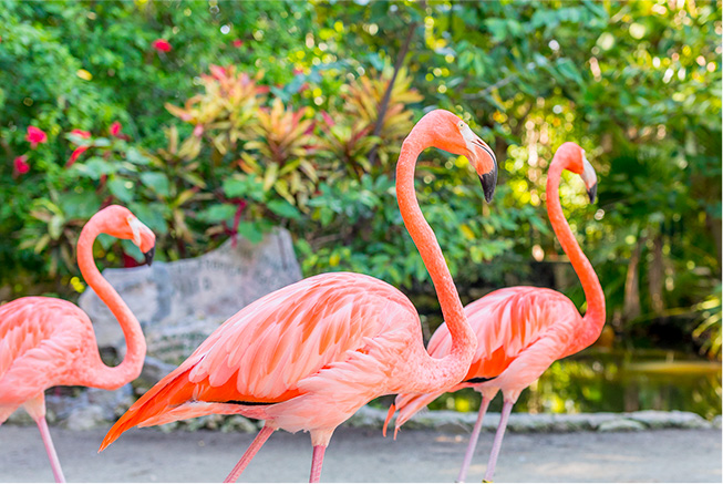 ecotourism rand nature center