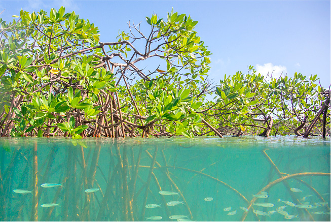 ecotourism southern great lake