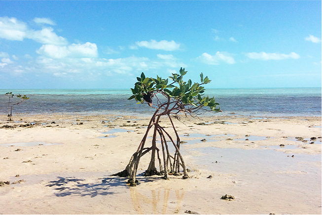 ecotourism union creek reserve