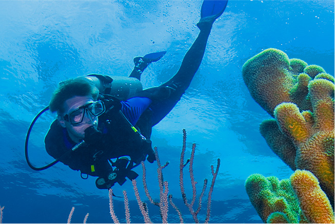 ecotourism walkers cay