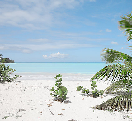 eleuthera bottom habour beach