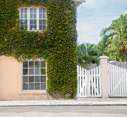 eleuthera harbour island