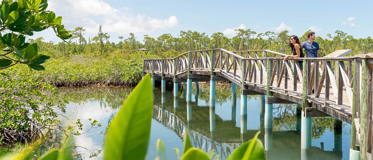 a couple of people on a bridge over water